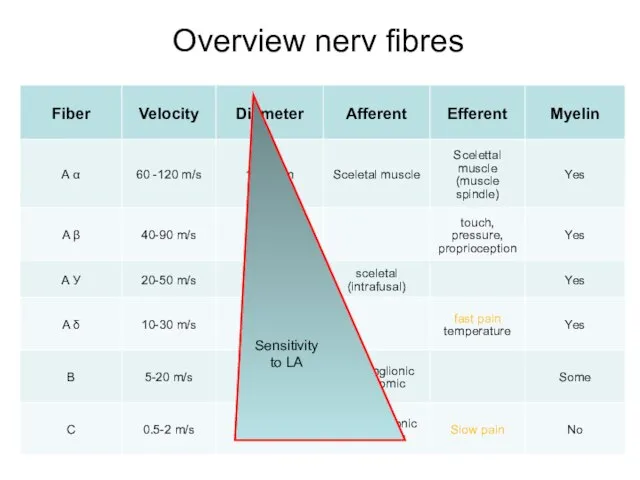 Overview nerv fibres Sensitivity to LA
