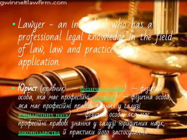 Lawyer - an individual who has a professional legal knowledge in the