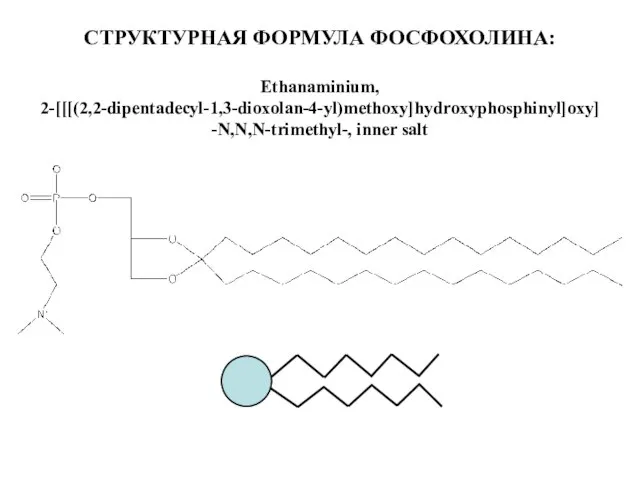 СТРУКТУРНАЯ ФОРМУЛА ФОСФОХОЛИНА: Ethanaminium, 2-[[[(2,2-dipentadecyl-1,3-dioxolan-4-yl)methoxy]hydroxyphosphinyl]oxy]-N,N,N-trimethyl-, inner salt