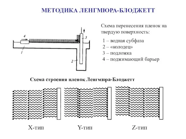 МЕТОДИКА ЛЕНГМЮРА-БЛОДЖЕТТ Схема перенесения пленок на твердую поверхность: 1 – водная субфаза