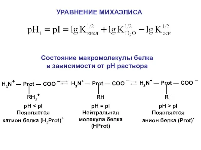 УРАВНЕНИЕ МИХАЭЛИСА Состояние макромолекулы белка в зависимости от рН раствора