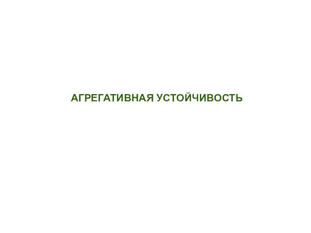 АГРЕГАТИВНАЯ УСТОЙЧИВОСТЬ