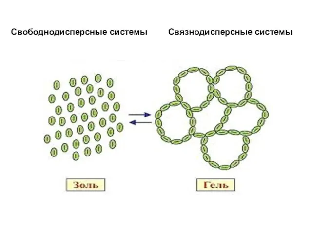 Свободнодисперсные системы Связнодисперсные системы