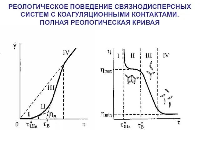 РЕОЛОГИЧЕСКОЕ ПОВЕДЕНИЕ СВЯЗНОДИСПЕРСНЫХ СИСТЕМ С КОАГУЛЯЦИОННЫМИ КОНТАКТАМИ. ПОЛНАЯ РЕОЛОГИЧЕСКАЯ КРИВАЯ ηB