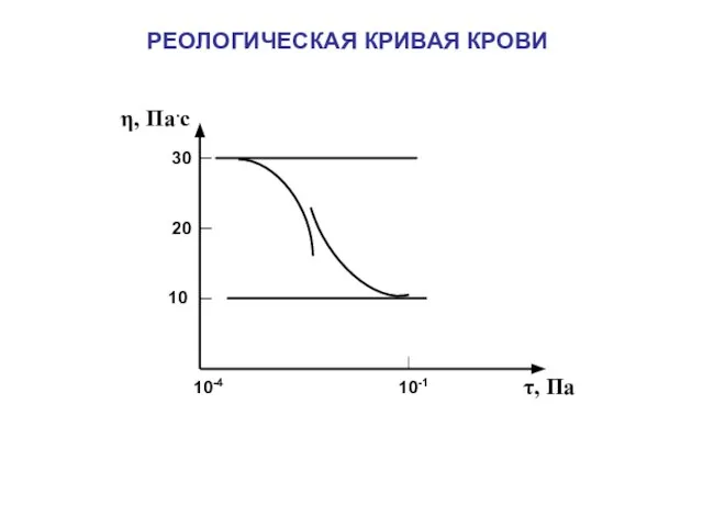 РЕОЛОГИЧЕСКАЯ КРИВАЯ КРОВИ