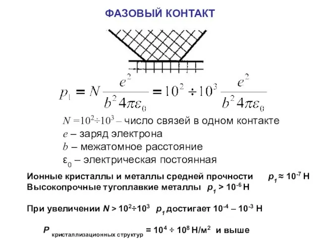 ФАЗОВЫЙ КОНТАКТ N =102÷103 – число связей в одном контакте e –