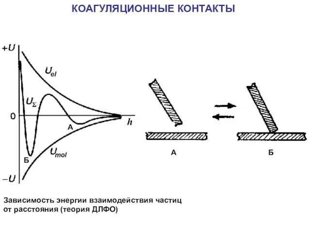 КОАГУЛЯЦИОННЫЕ КОНТАКТЫ Зависимость энергии взаимодействия частиц от расстояния (теория ДЛФО) А Б А Б