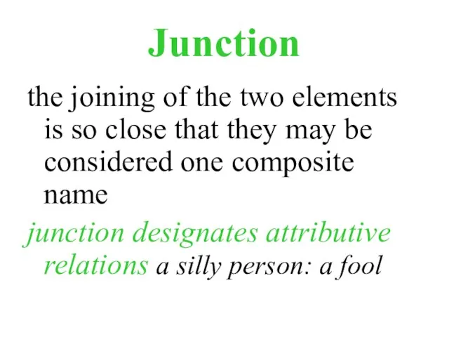 Junction the joining of the two elements is so close that they