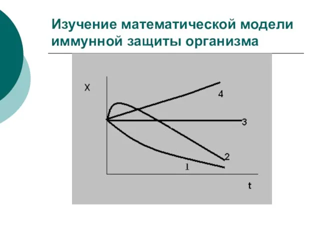 Изучение математической модели иммунной защиты организма