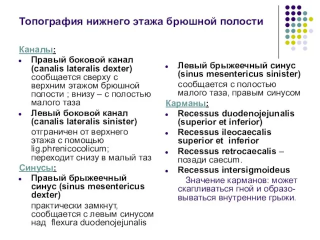 Топография нижнего этажа брюшной полости Каналы: Правый боковой канал (canalis lateralis dexter)