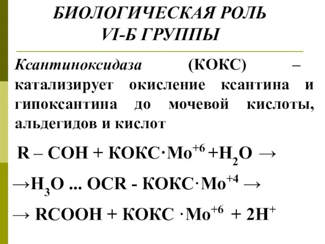 БИОЛОГИЧЕСКАЯ РОЛЬ VI-Б ГРУППЫ R – COH + КОКС·Мо+6 +Н2О → →H3O