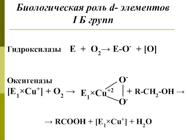 Биологическая роль d- элементов I Б групп Гидроксилазы Е + О2→ Е-О-