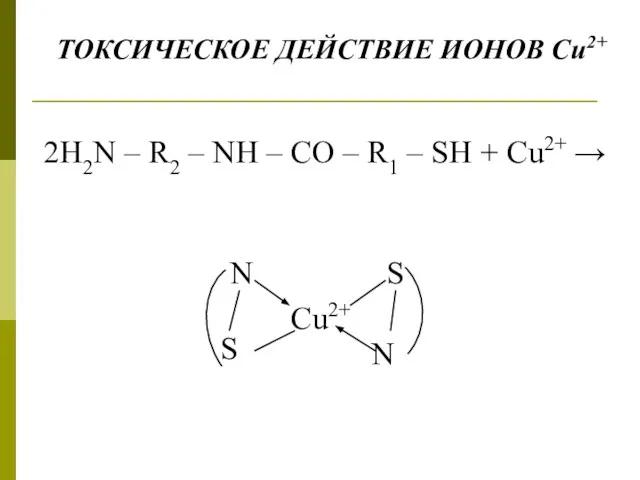 2Н2N – R2 – NH – CO – R1 – SH +