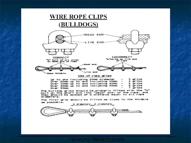 _____________________________________ TRAINING PRESENTATION WIRE ROPE CLIPS (BULLDOGS)