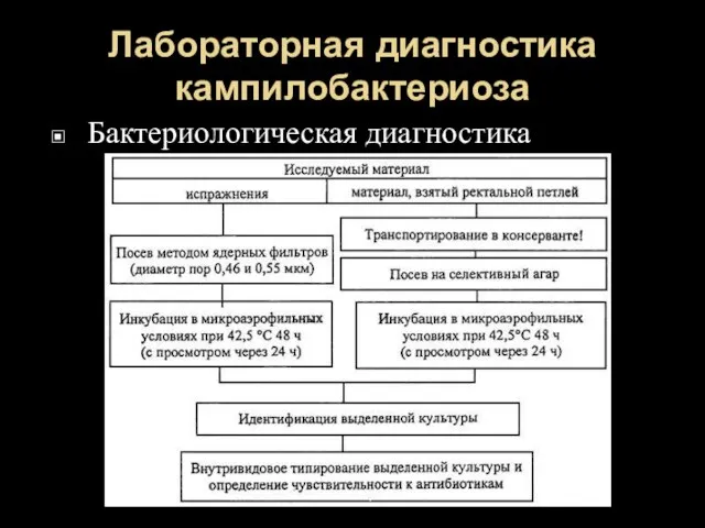 Лабораторная диагностика кампилобактериоза Бактериологическая диагностика