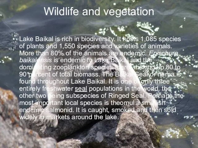 Wildlife and vegetation Lake Baikal is rich in biodiversity. It hosts 1,085