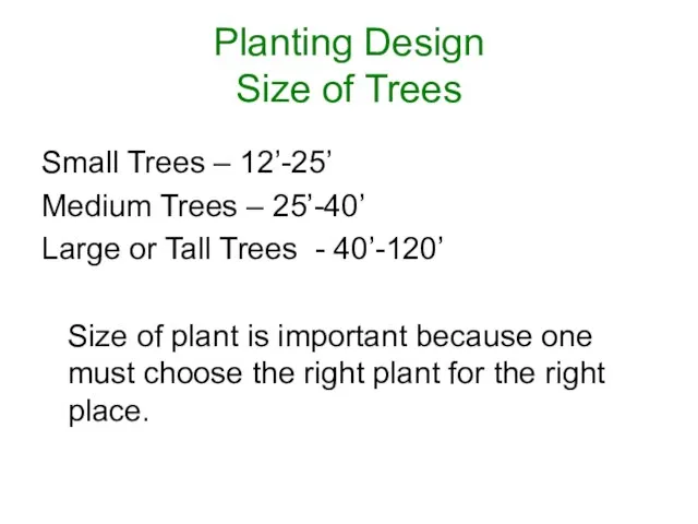 Planting Design Size of Trees Small Trees – 12’-25’ Medium Trees –