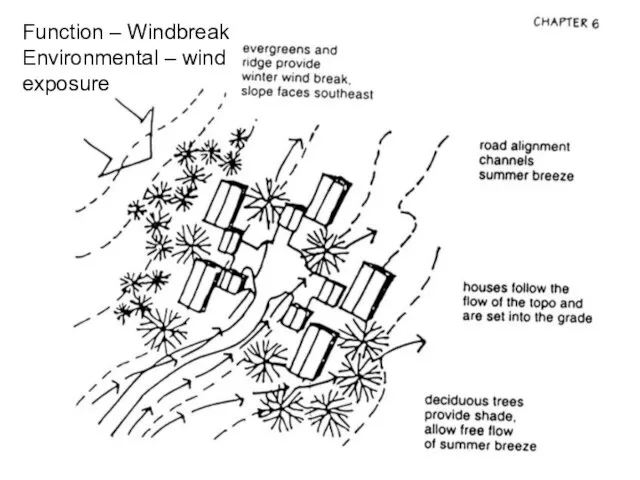 Function – Windbreak Environmental – wind exposure