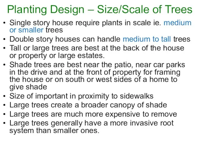Planting Design – Size/Scale of Trees Single story house require plants in