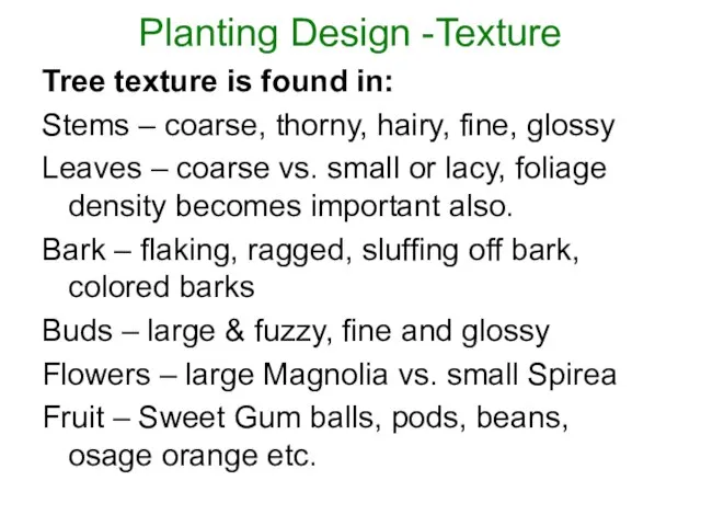 Planting Design -Texture Tree texture is found in: Stems – coarse, thorny,