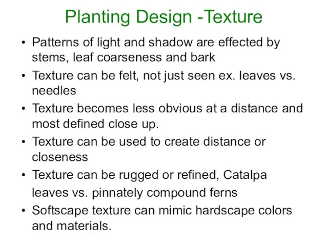 Planting Design -Texture Patterns of light and shadow are effected by stems,