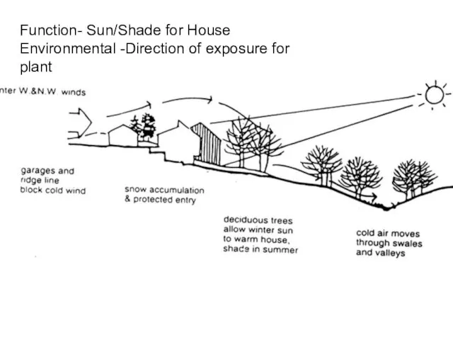 Function- Sun/Shade for House Environmental -Direction of exposure for plant