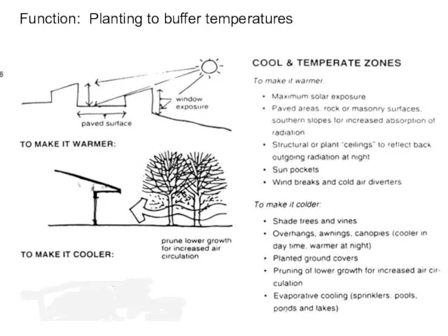 Function: Planting to buffer temperatures