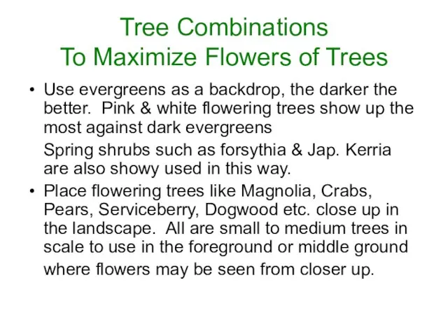 Tree Combinations To Maximize Flowers of Trees Use evergreens as a backdrop,