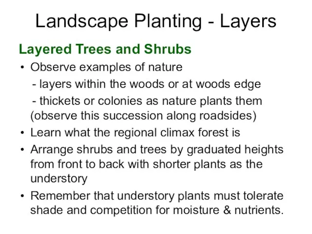 Landscape Planting - Layers Layered Trees and Shrubs Observe examples of nature