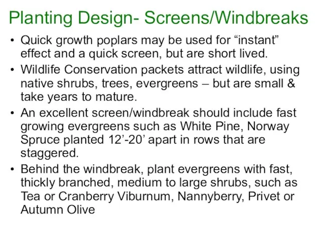 Planting Design- Screens/Windbreaks Quick growth poplars may be used for “instant” effect