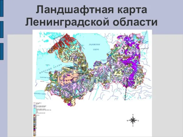 Ландшафтная карта Ленинградской области