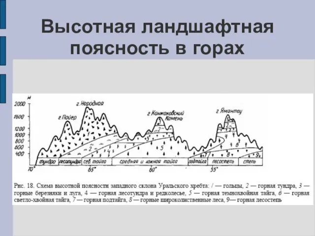 Высотная ландшафтная поясность в горах