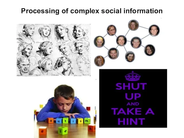 Processing of complex social information