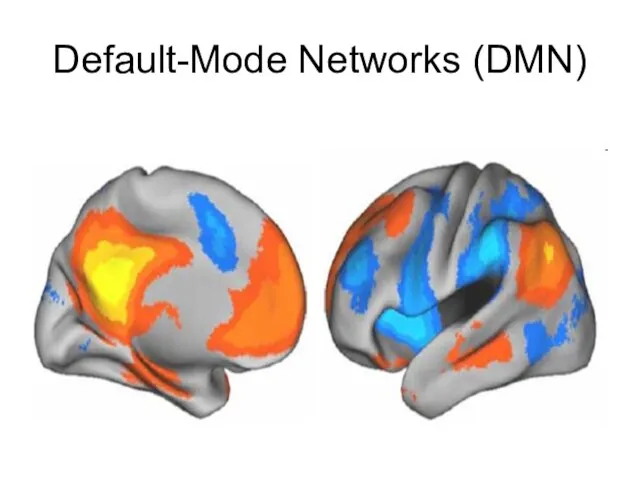 Default-Mode Networks (DMN)