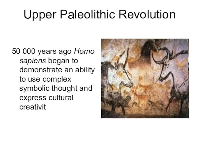 Upper Paleolithic Revolution 50 000 years ago Homo sapiens began to demonstrate