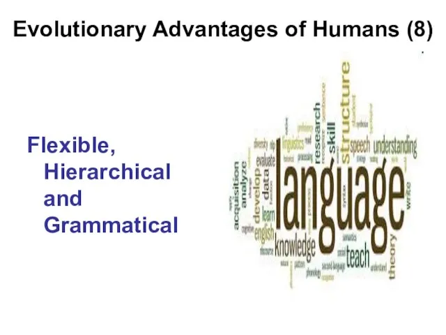 Evolutionary Advantages of Humans (8) Flexible, Hierarchical and Grammatical