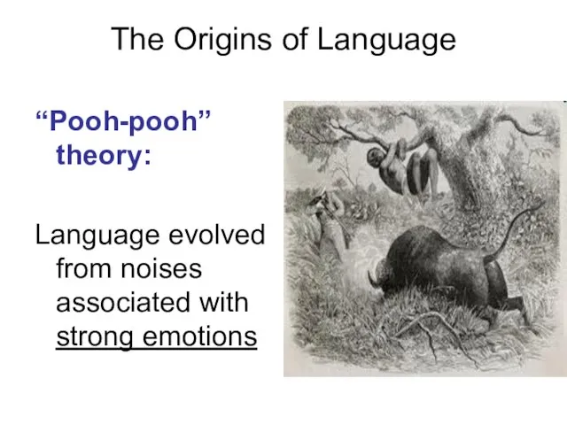 The Origins of Language “Pooh-pooh” theory: Language evolved from noises associated with strong emotions