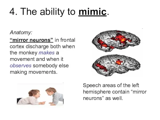 4. The ability to mimic. Anatomy: “mirror neurons” in frontal cortex discharge