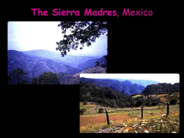 The Sierra Madres, Mexico