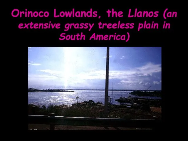 Orinoco Lowlands, the Llanos (an extensive grassy treeless plain in South America)