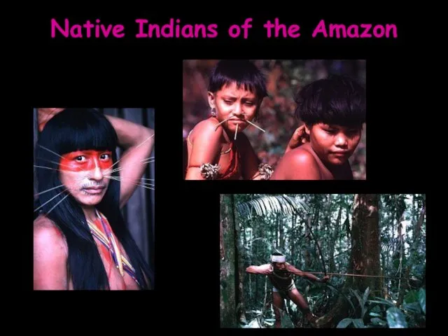 Native Indians of the Amazon