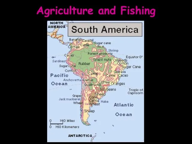 Agriculture and Fishing