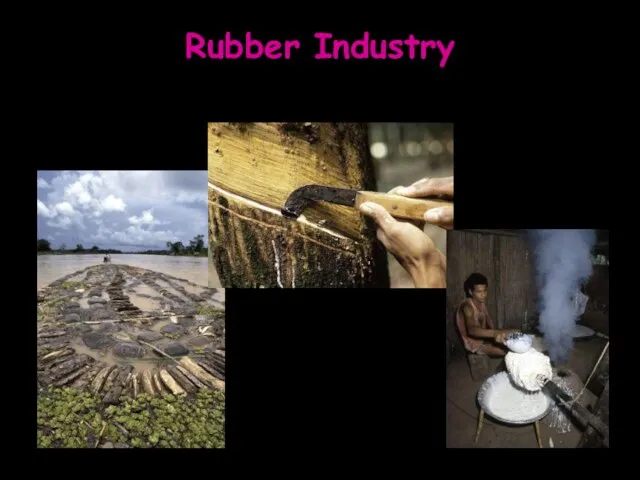 Rubber Industry