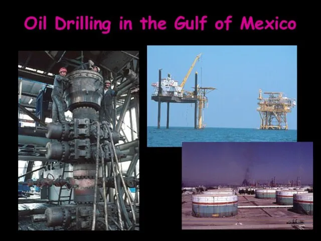 Oil Drilling in the Gulf of Mexico