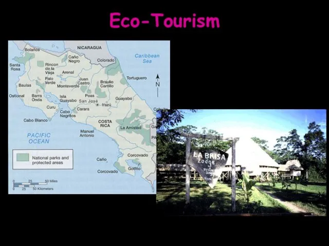 Eco-Tourism