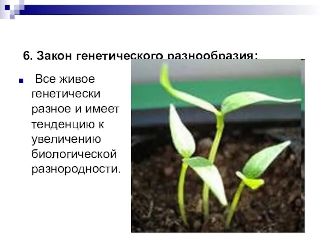 6. Закон генетического разнообразия: Все живое генетически разное и имеет тенденцию к увеличению биологической разнородности.