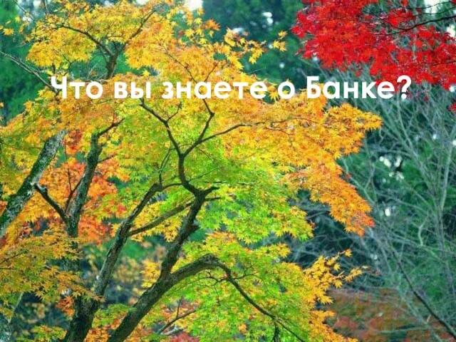 Что вы знаете о Банке?