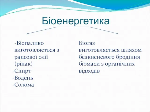 Біоенергетика -Біопаливо виготовляється з рапсової олії(ріпак) Спирт Водень Солома Біогаз виготовляється шляхом