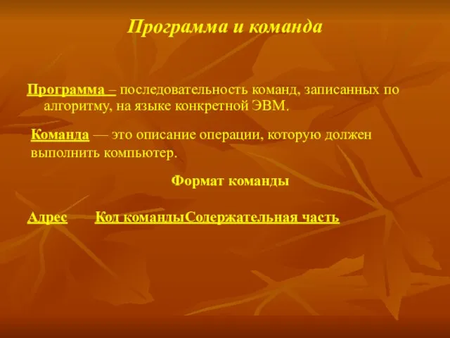 Программа и команда Программа – последовательность команд, записанных по алгоритму, на языке