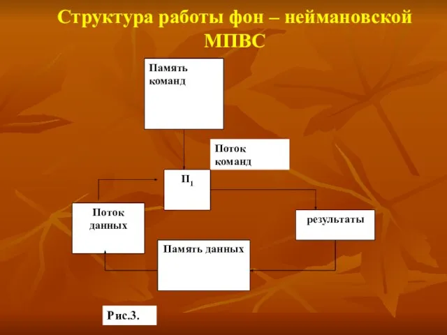 Структура работы фон – неймановской МПВС Рис.3.